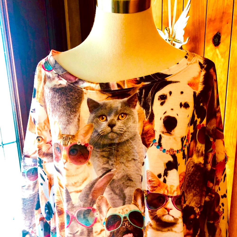 🐶 🐱  PJ’s